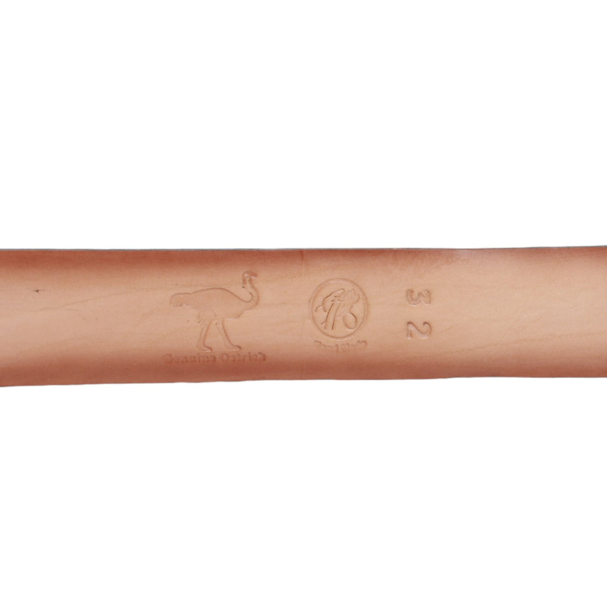 Genuine Ostrich Leather Western Belt Gray Color - Los Altos Boots - Back View