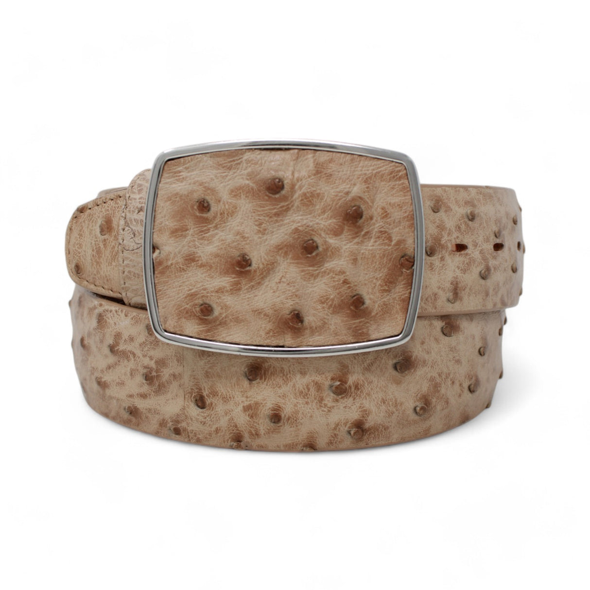 Genuine Ostrich Leather Western Belt Moka Color - Los Altos Boots - Front View