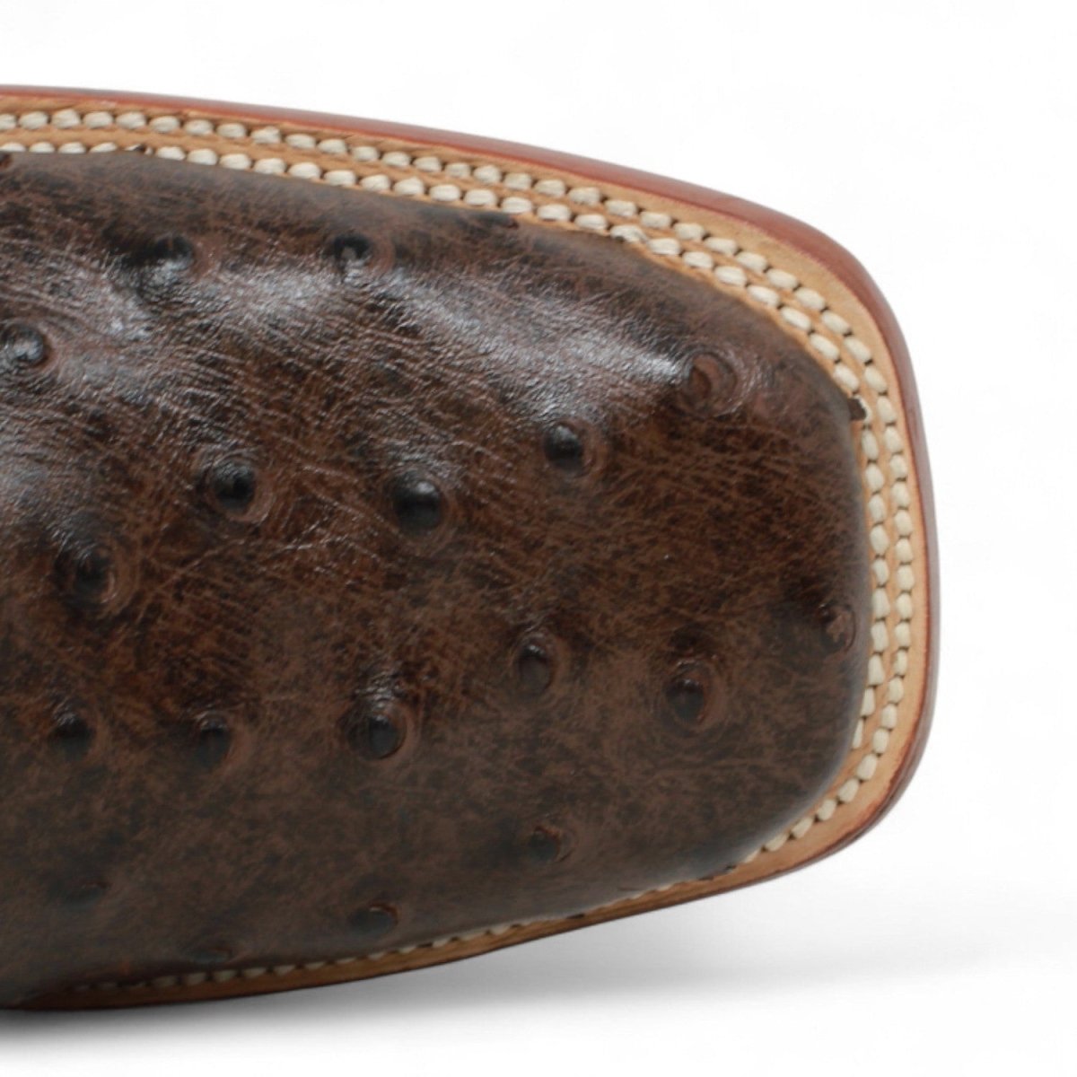 Botines Hombre de Cuero Grabado Avestruz Punta Cuadrada Color Cafe - Tanner Mark Boots - Tanner Mark Boots