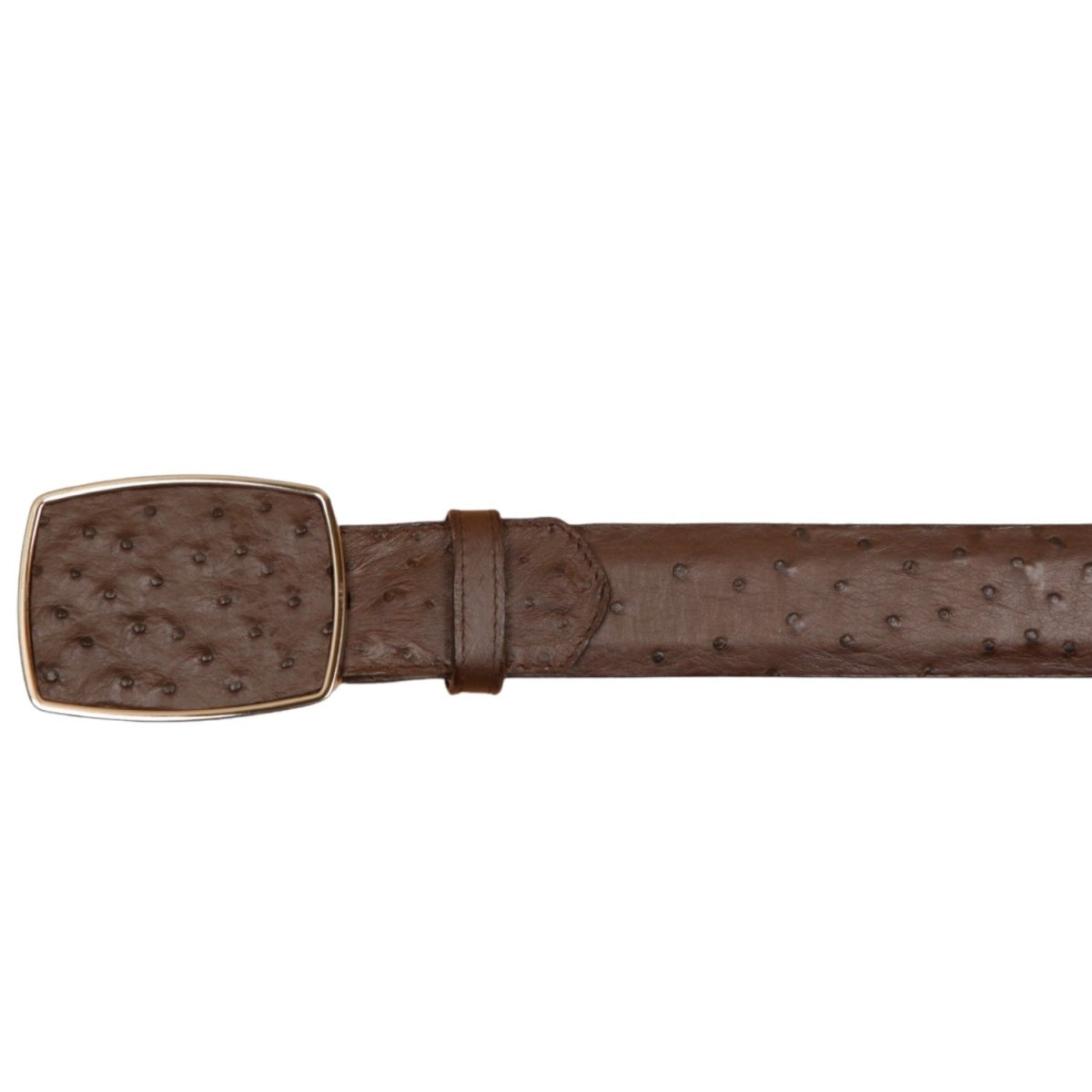 Cinto Vaquero de Avestruz Original Color Cafe - Wild West Boots - Wild West Boots