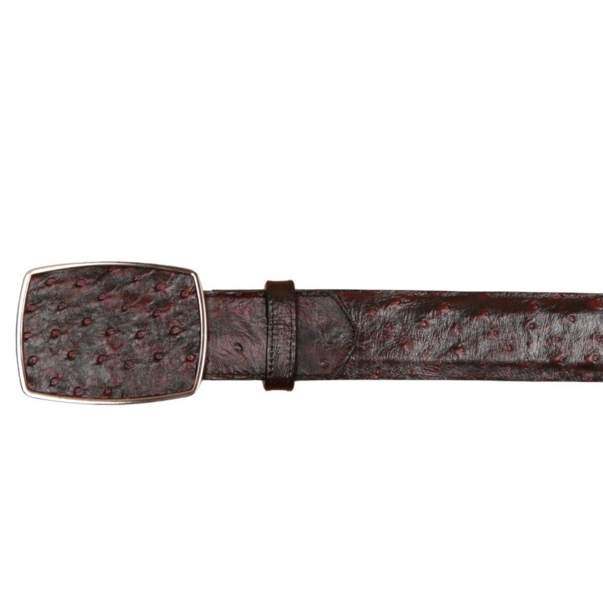 Cinto Vaquero de Avestruz Original Color Negro Rojizo - Wild West Boots - Wild West Boots