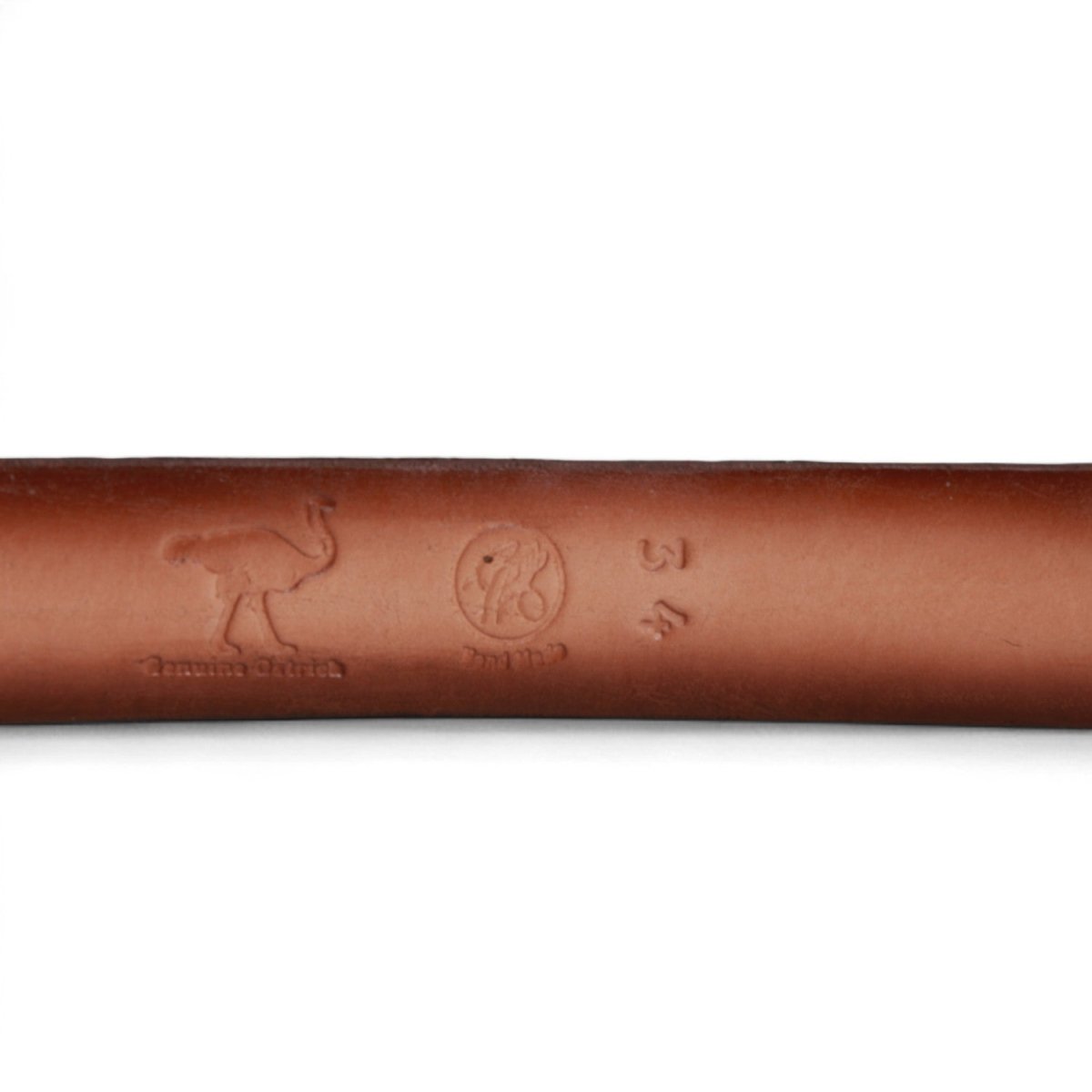 Genuine Ostrich Leather Western Belt Tabacco Color - Los Altos Boots - Front View