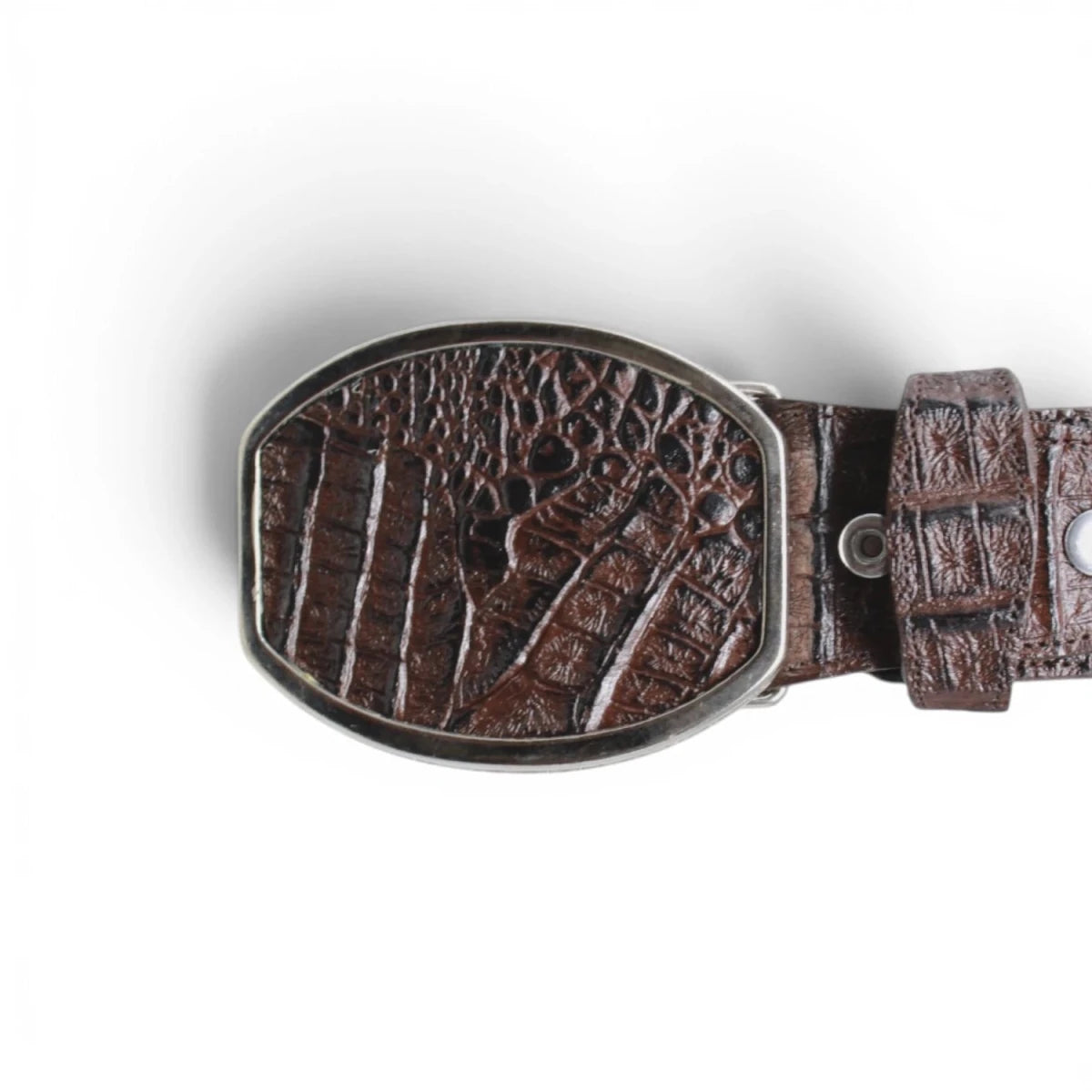 Cinto Vaquero de Piel Original Grabado de Cocodrilo Hebilla Metal- La Careta - La Carreta