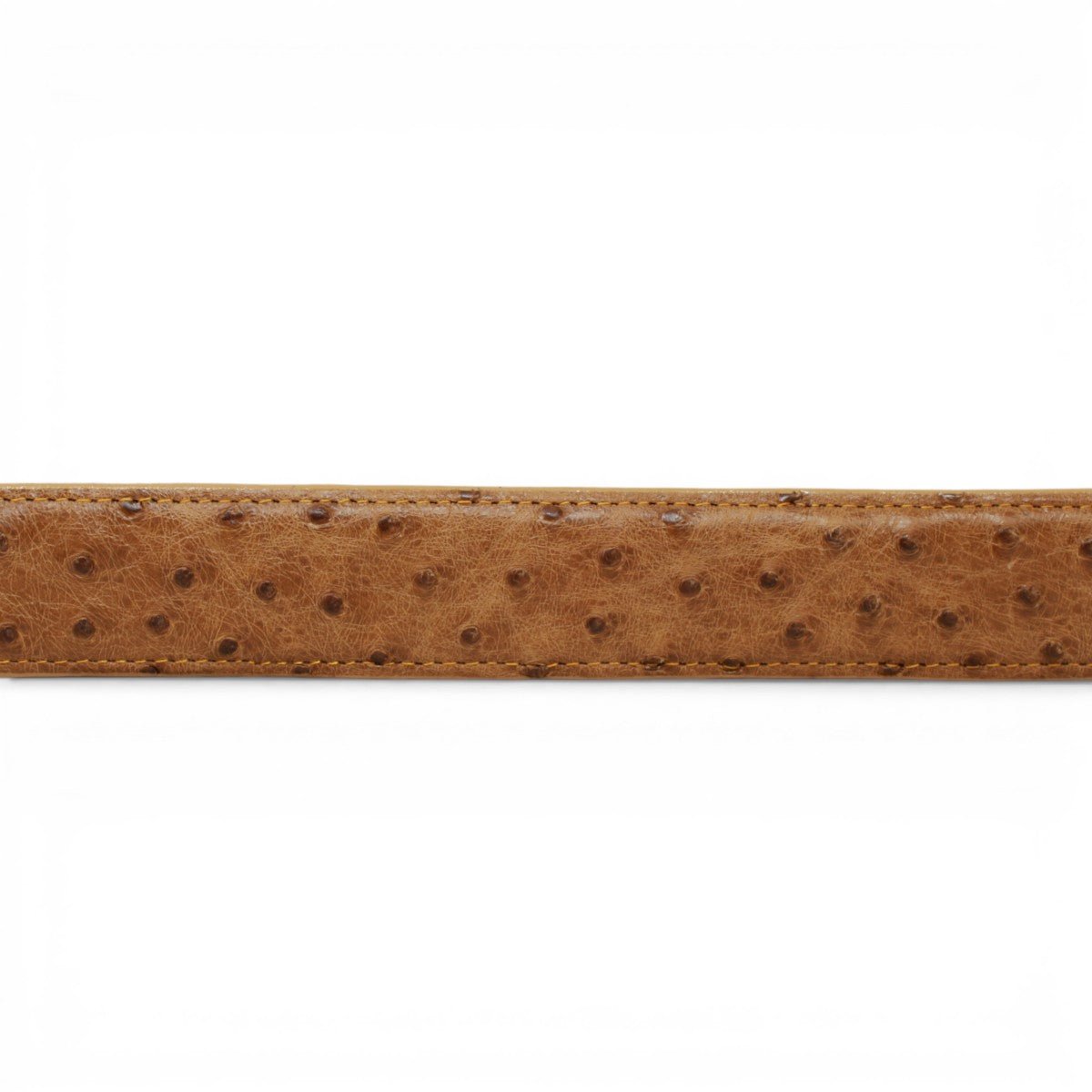 Cinturón de Avestruz Con Hebilla Metálica Texas Antique - TMXB200480 - Tanner Mark Boots