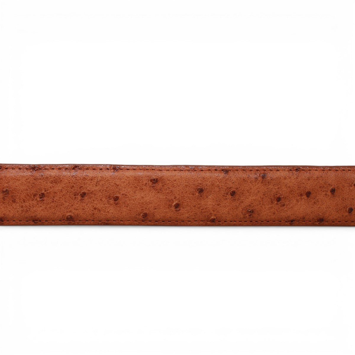 Cinturón de Avestruz Con Hebilla Metálica Texas Brandy - TMXB200479 - Tanner Mark Boots