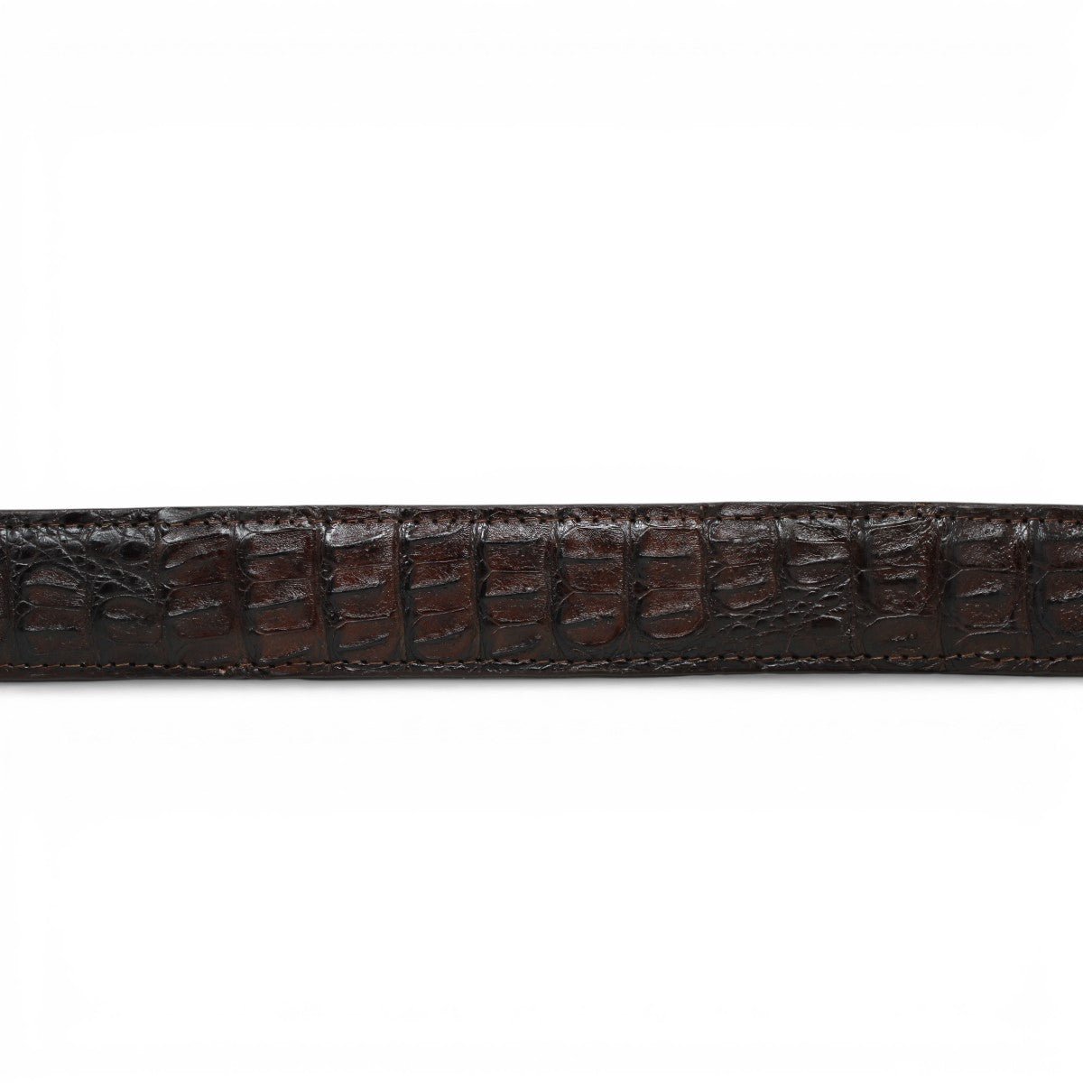 Cinturón de Caiman Cafe Con Hebilla Metálica Texas - TMXB100160 - Tanner Mark Boots