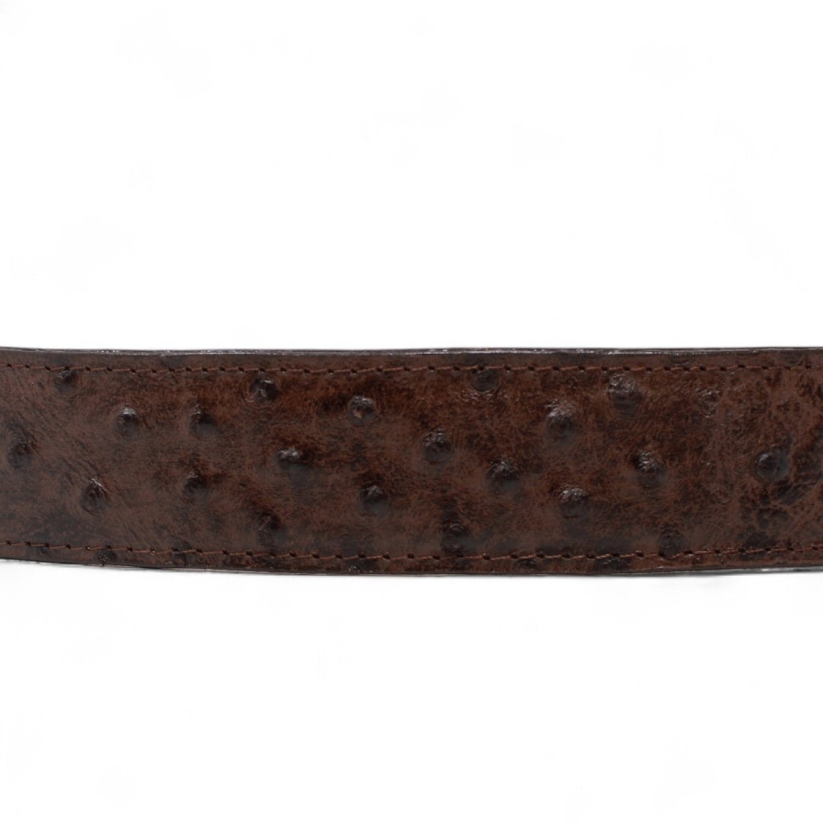 Cinturón de Piel Genuina con Estampado de Avestruz y Hebilla Metálica Texas Cafe - Tanner Mark Boots