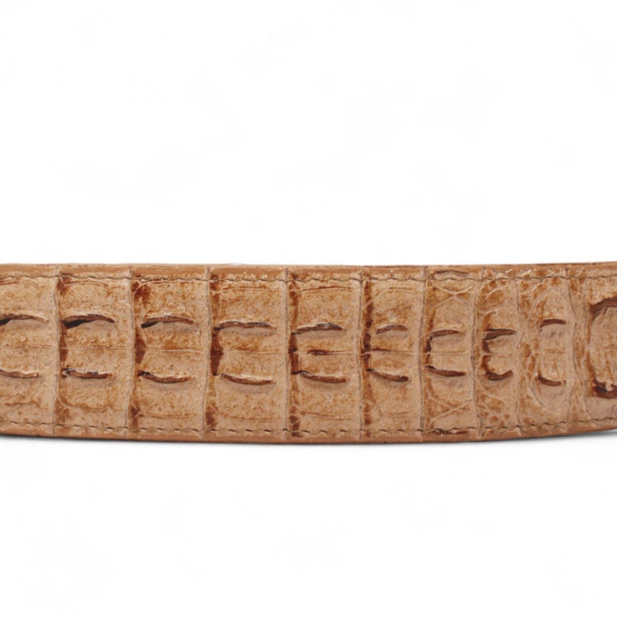 Cinturon de Piel Genuina con Estampado de Caiman Lomo y Hebilla Metálica Texas Arena - Tanner Mark Boots