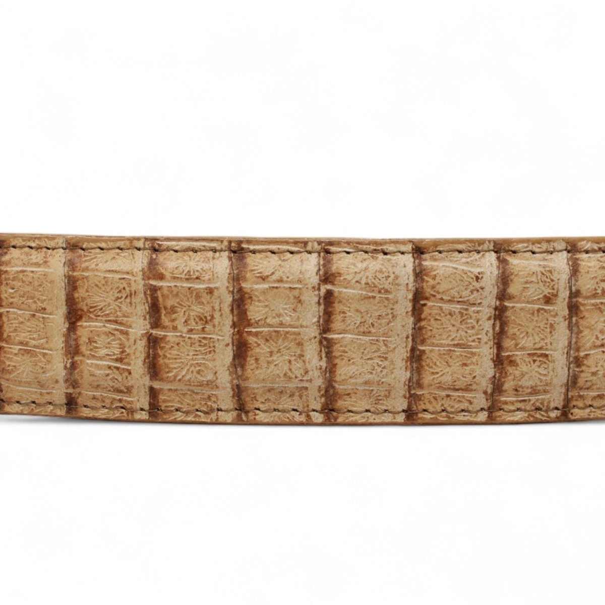 Cinturon de Piel Genuina con Estampado de Caiman Panza Hebilla Metálica Texas Arena - Tanner Mark Boots