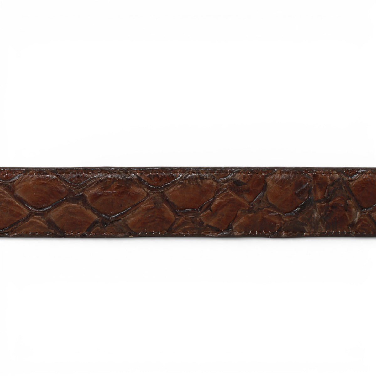 Cinturón de Pirarucu Con Hebilla Metálica Texas Cafe - TMXB201307 - Tanner Mark Boots