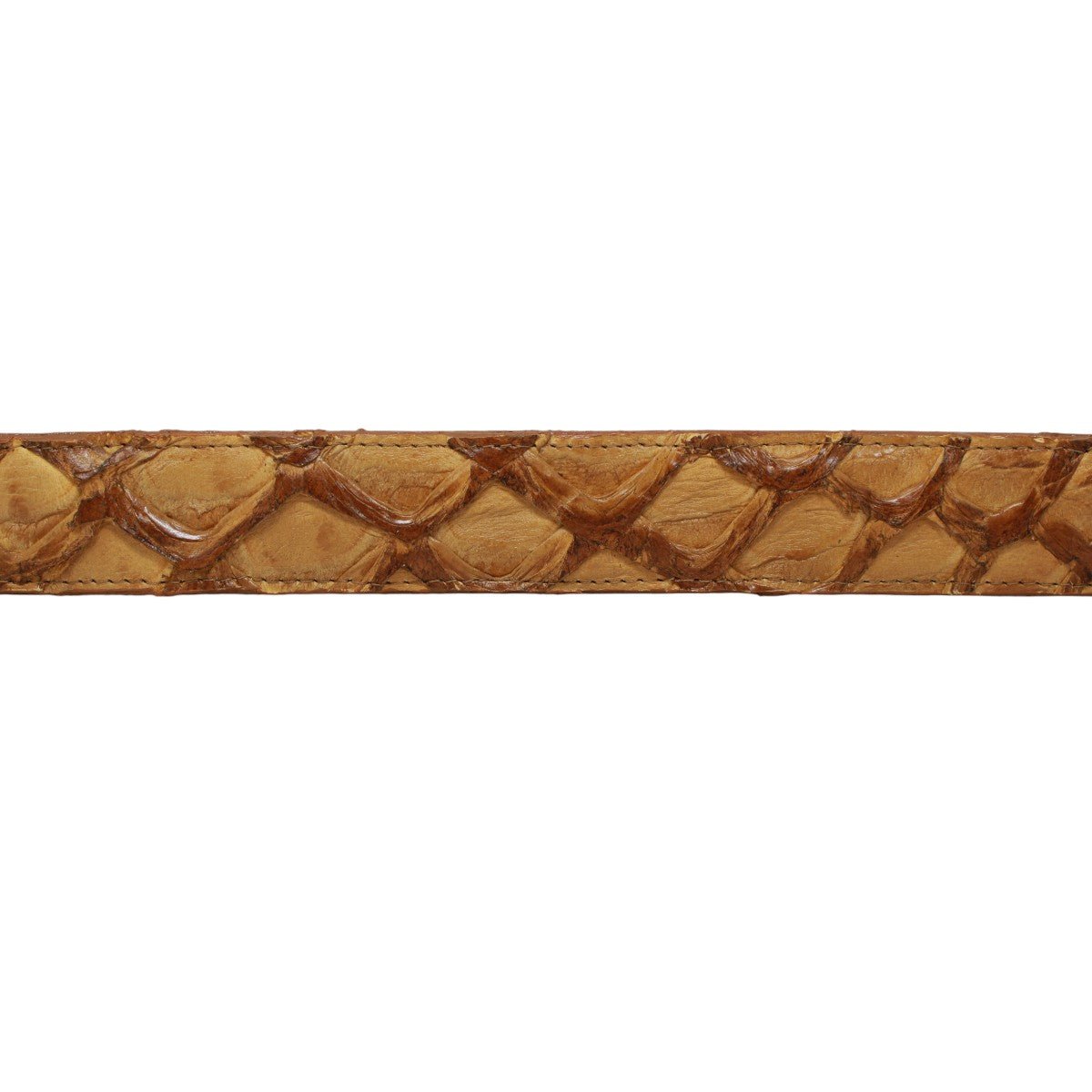 Cinturón de Pirarucu Con Hebilla Metálica Texas Oryx - TMXB201310 - Tanner Mark Boots