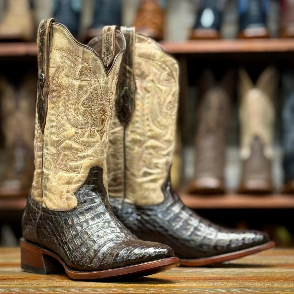 Tanner Mark Men's Genuine Caiman Belly Round Toe Boots - Brown - Tanner Mark Boots