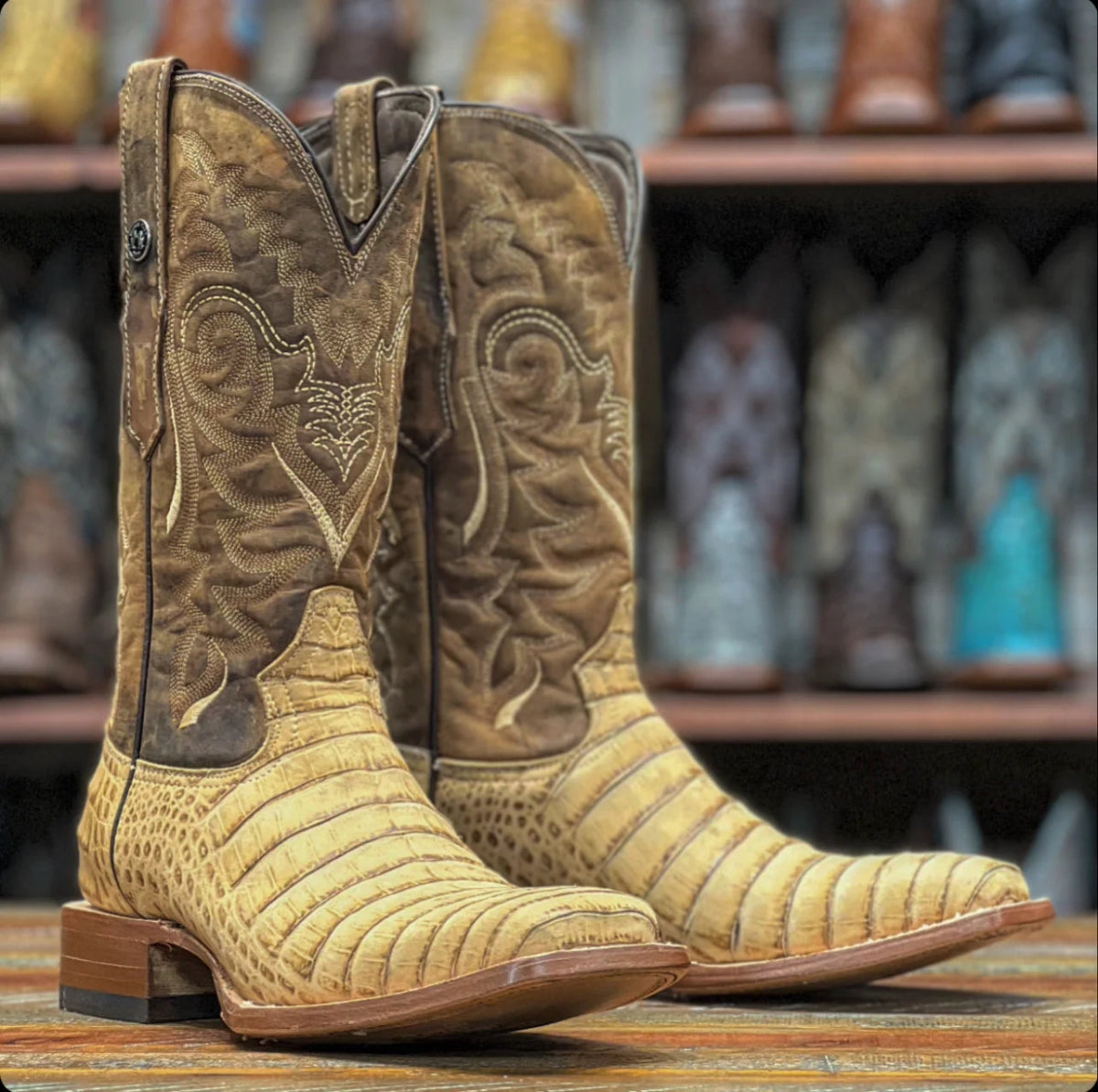 Tanner Mark Men's Midland Print Caiman Belly Square Toe Boots Antique Saddle TM207005 - Tanner Mark Boots