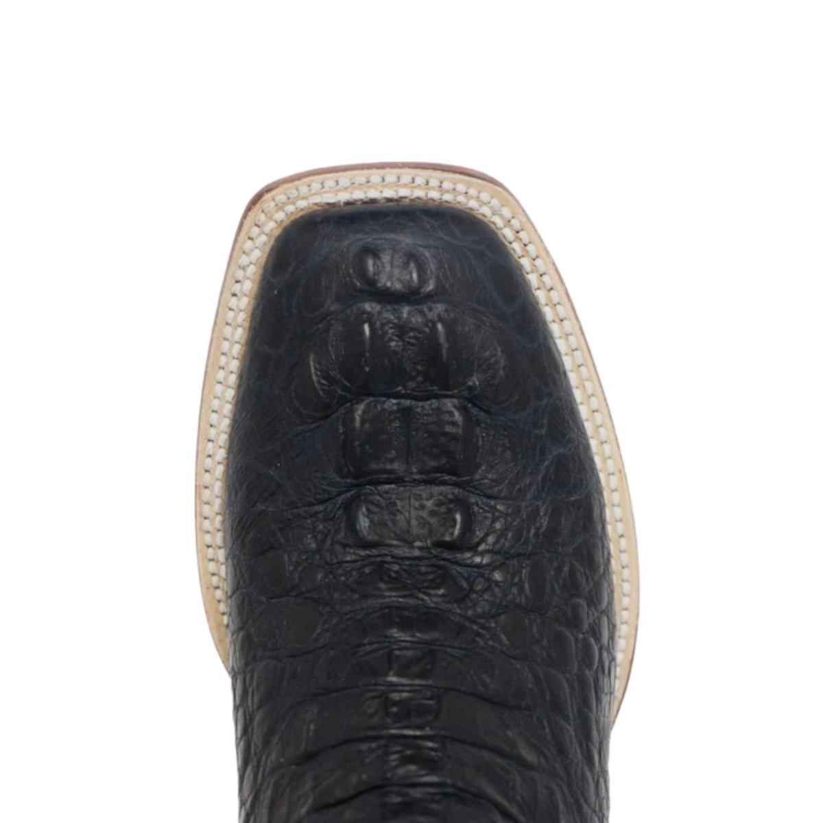 Tanner Mark Women's Amberlyn Print Caiman Hornback Square Toe Boots Black - Tanner Mark Boots