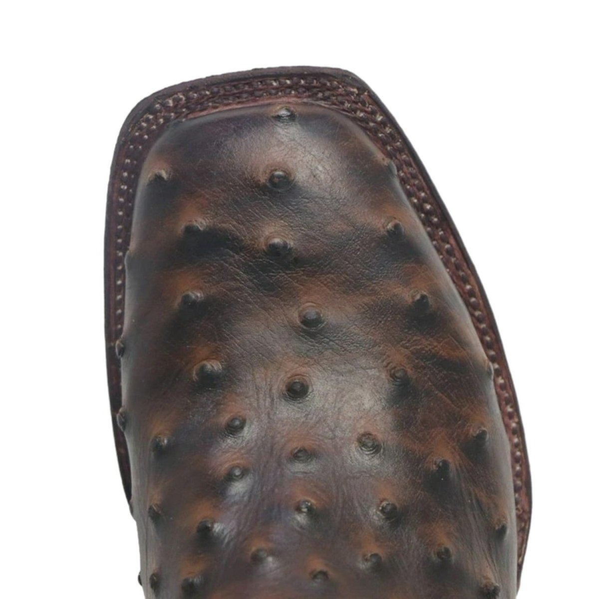 Tanner Mark Women's 'Brooke' Ostrich Print Square Toe Boots Chocolate - Tanner Mark Boots