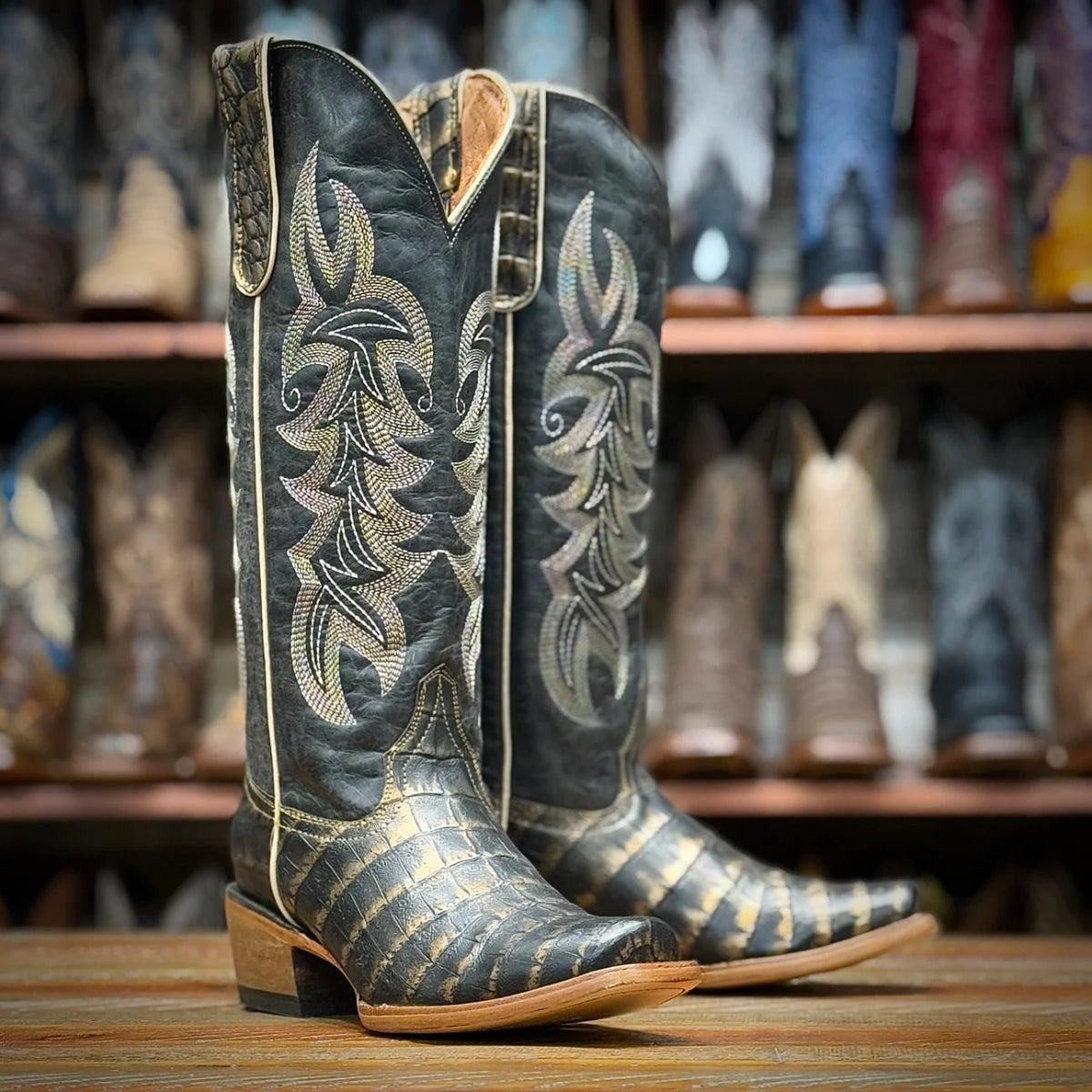 Tanner Mark Women's Caiman Belly Print Square Toe Tall Boots - Black & Gold - Tanner Mark Boots