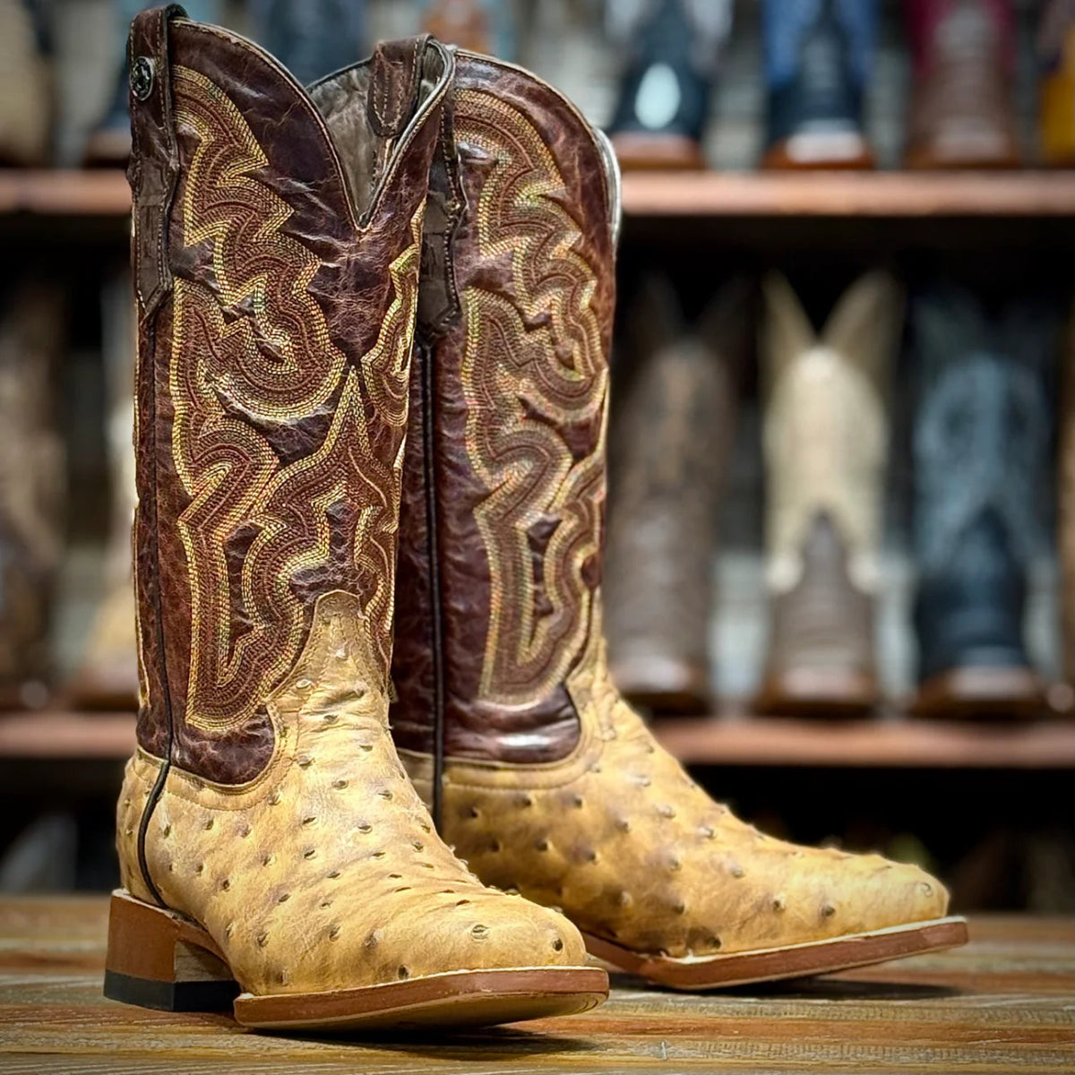 Tanner Mark Women's Ostrich Print Square Toe Leather Boots - Orix - Tanner Mark Boots