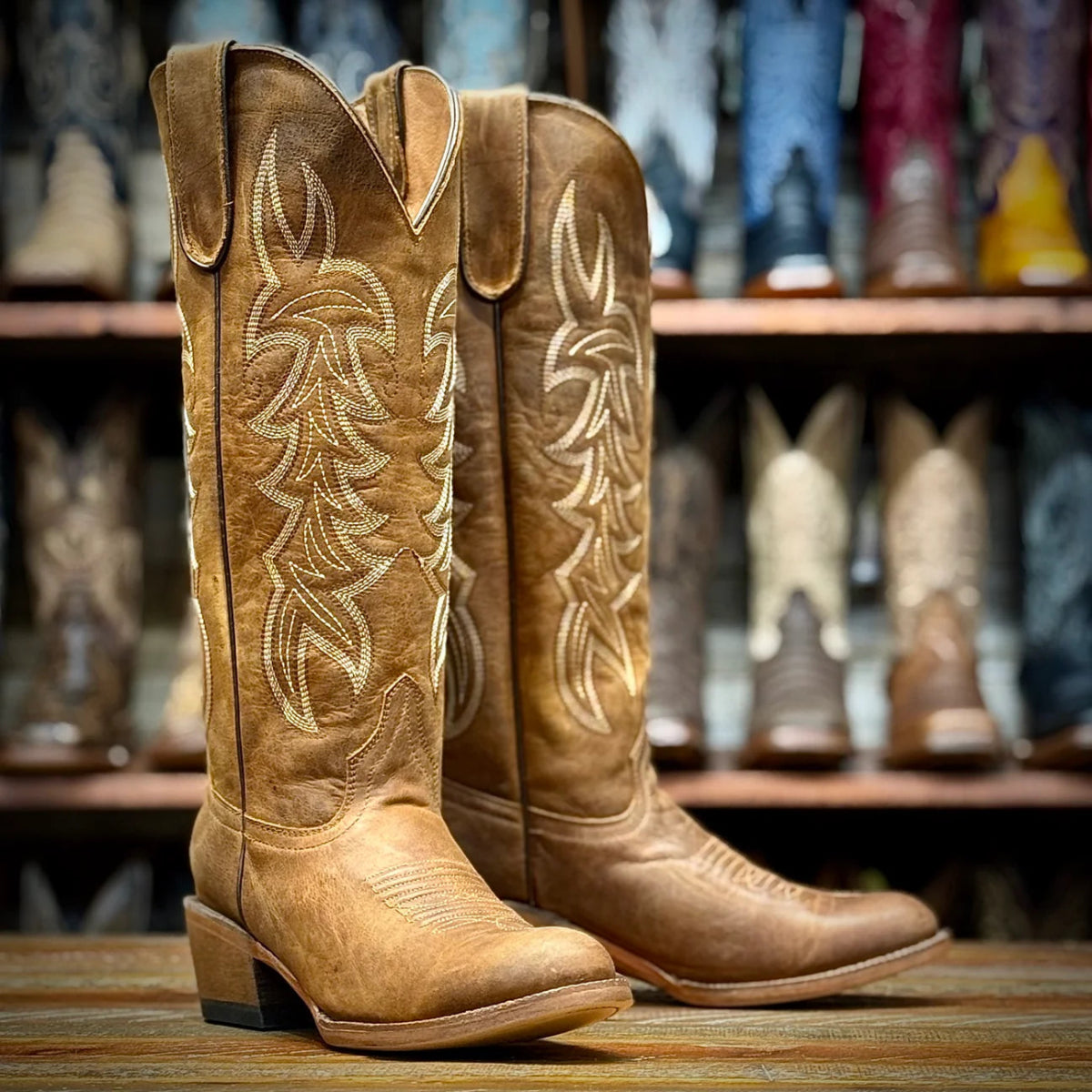 Tanner Mark Women's Round Toe Leather Tall Boots - Canyon Cognac - Tanner Mark Boots