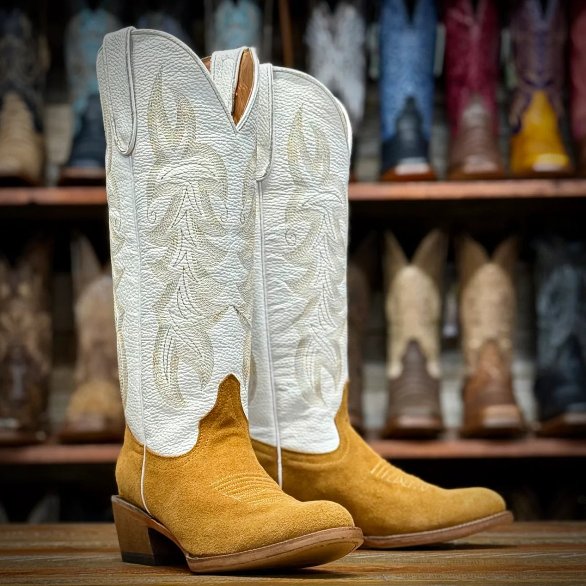 Tanner Mark Women's Round Toe Leather Tall Boots - Gold Rough Out - Tanner Mark Boots