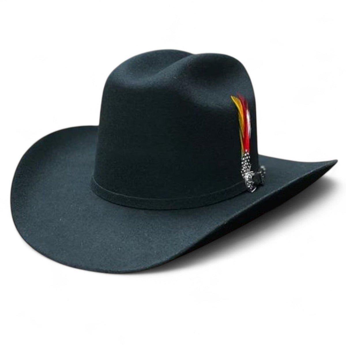 Texana Cuernos Chuecos 6X Horma Durango Negra con Plumas - Cuernos Chuecos