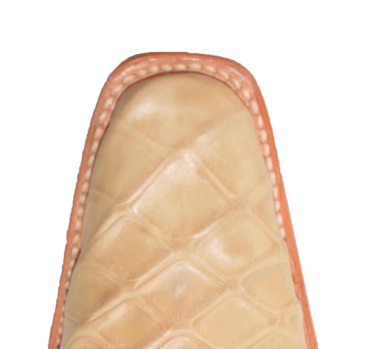 Botas de Oso Hormiguero Grabado Horma Europea Cuadrada WD-165 - White Diamonds