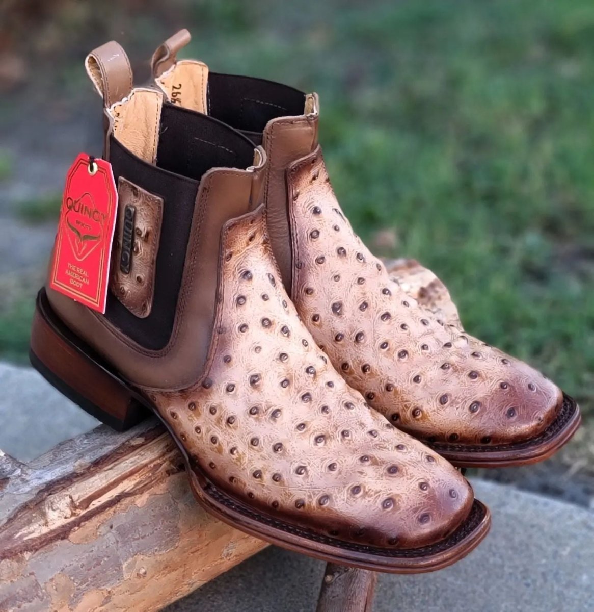 Botin de Avestruz Grabado con Punta Cuadrada Q82B0311 - Quincy Boots