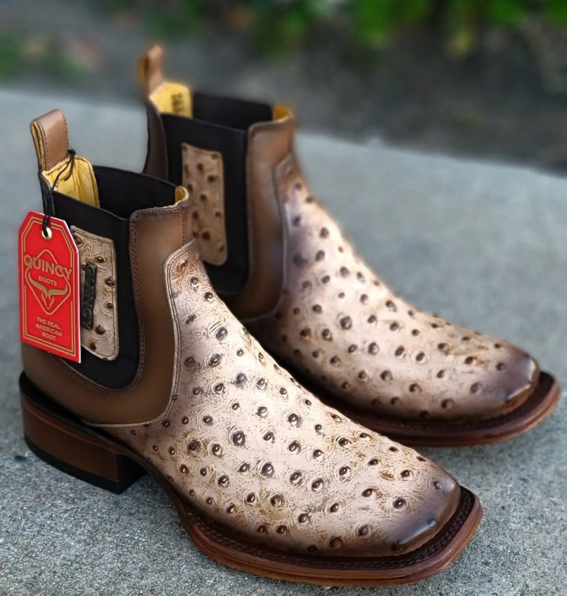 Botin de Avestruz Grabado con Punta Cuadrada Q82B0311 - Quincy Boots