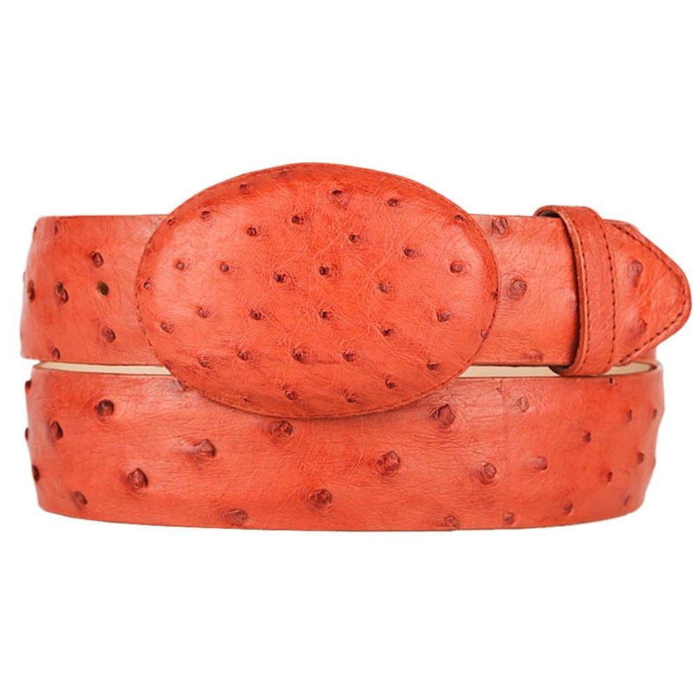 Genuine Ostrich Leather Western Belt Cognac Color - Los Altos Boots - Back View