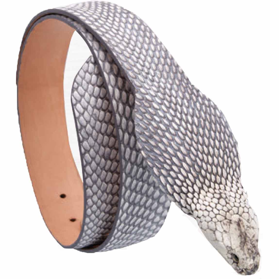 Cinto Cobra con Cabeza Original WD-1520 - White Diamonds Boots