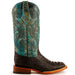 Ferrini Women's Stampede Square Toe Boots Crocodile Print - Black/Teal - Ferrini Boots