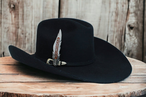 Pluma de Plata para Texana o Sombrero Vaquero con Estados - Tombstone