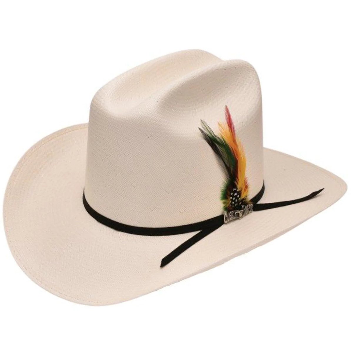 Sombrero Cuernos Chuecos 100X Horma Durango con Plumas - Cuernos Chuecos