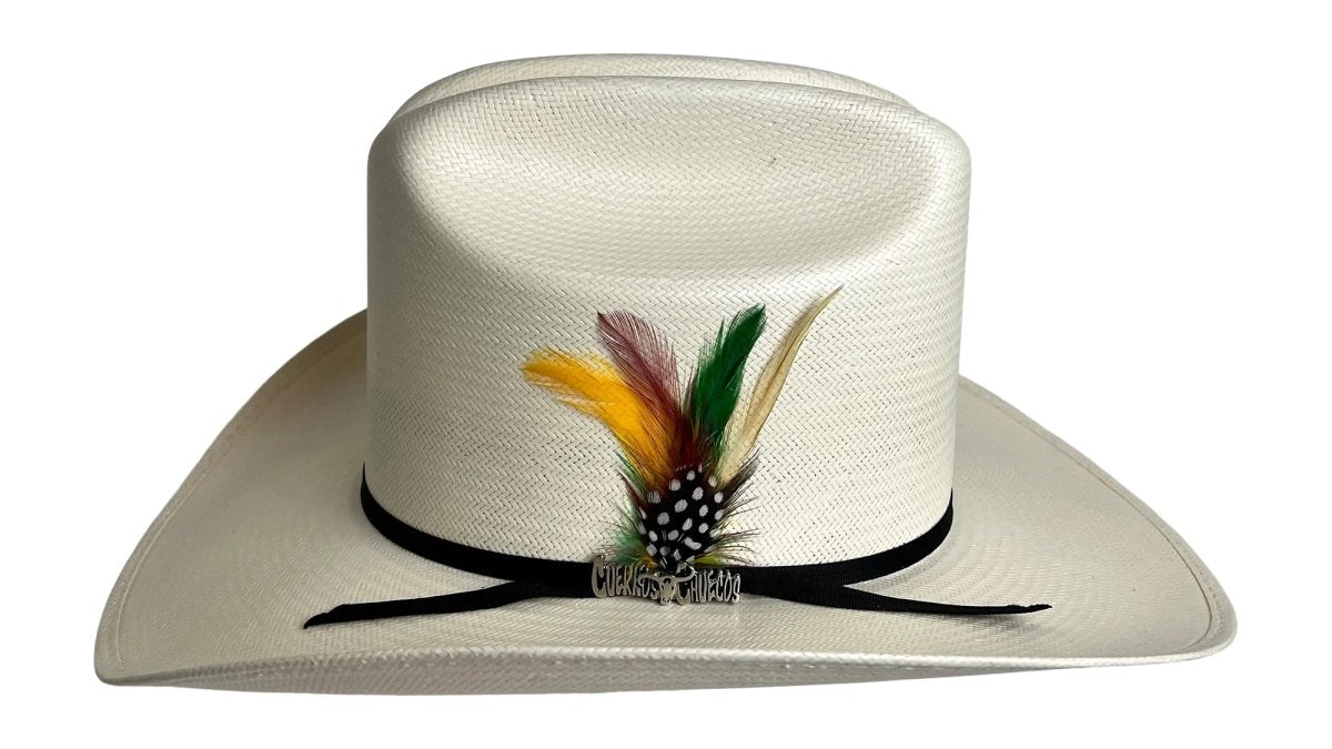 Sombrero Cuernos Chuecos 100X Horma Durango con Plumas - Cuernos Chuecos