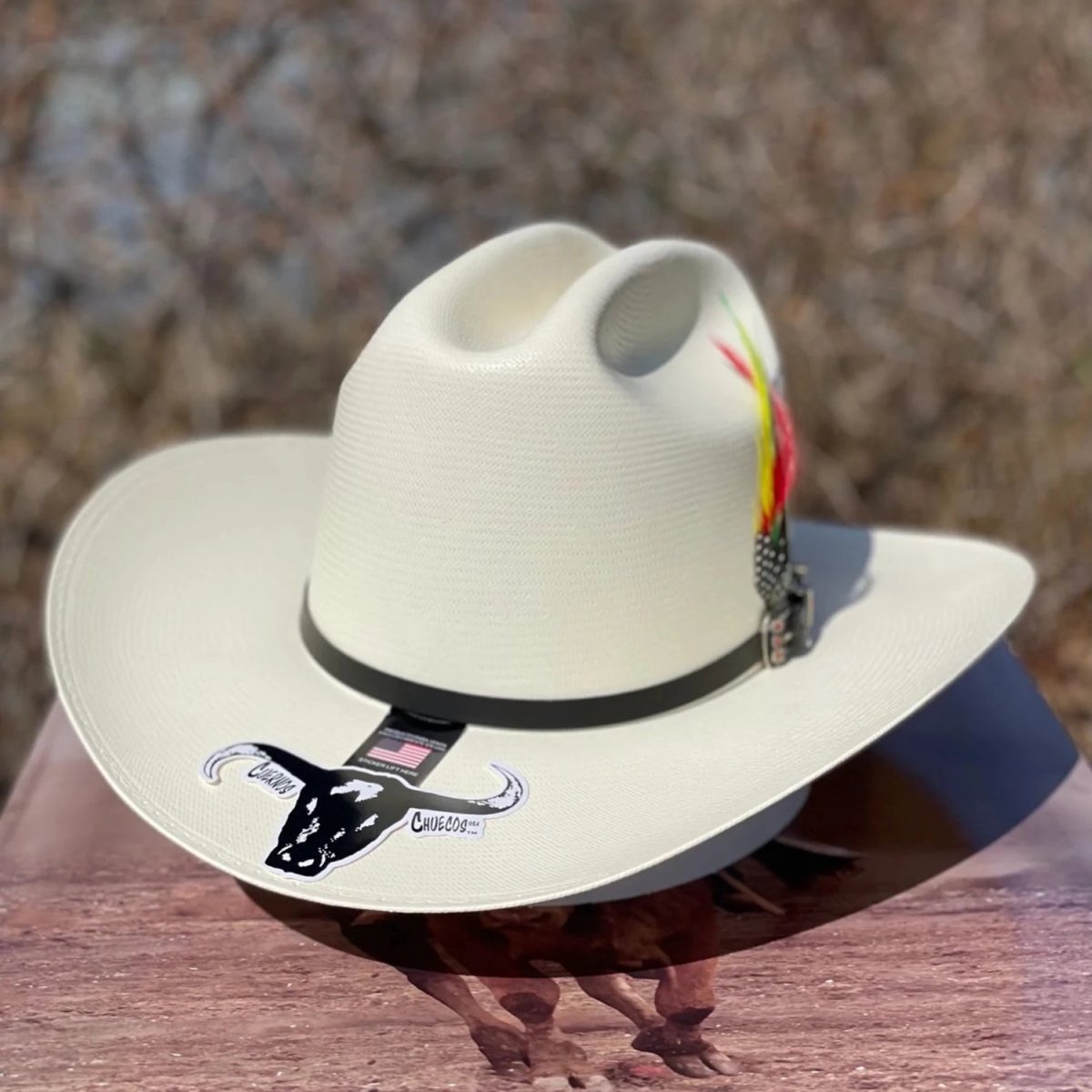 Sombrero Cuernos Chuecos 5,000X Estilo El Fantasma con Plumas - Cuernos Chuecos