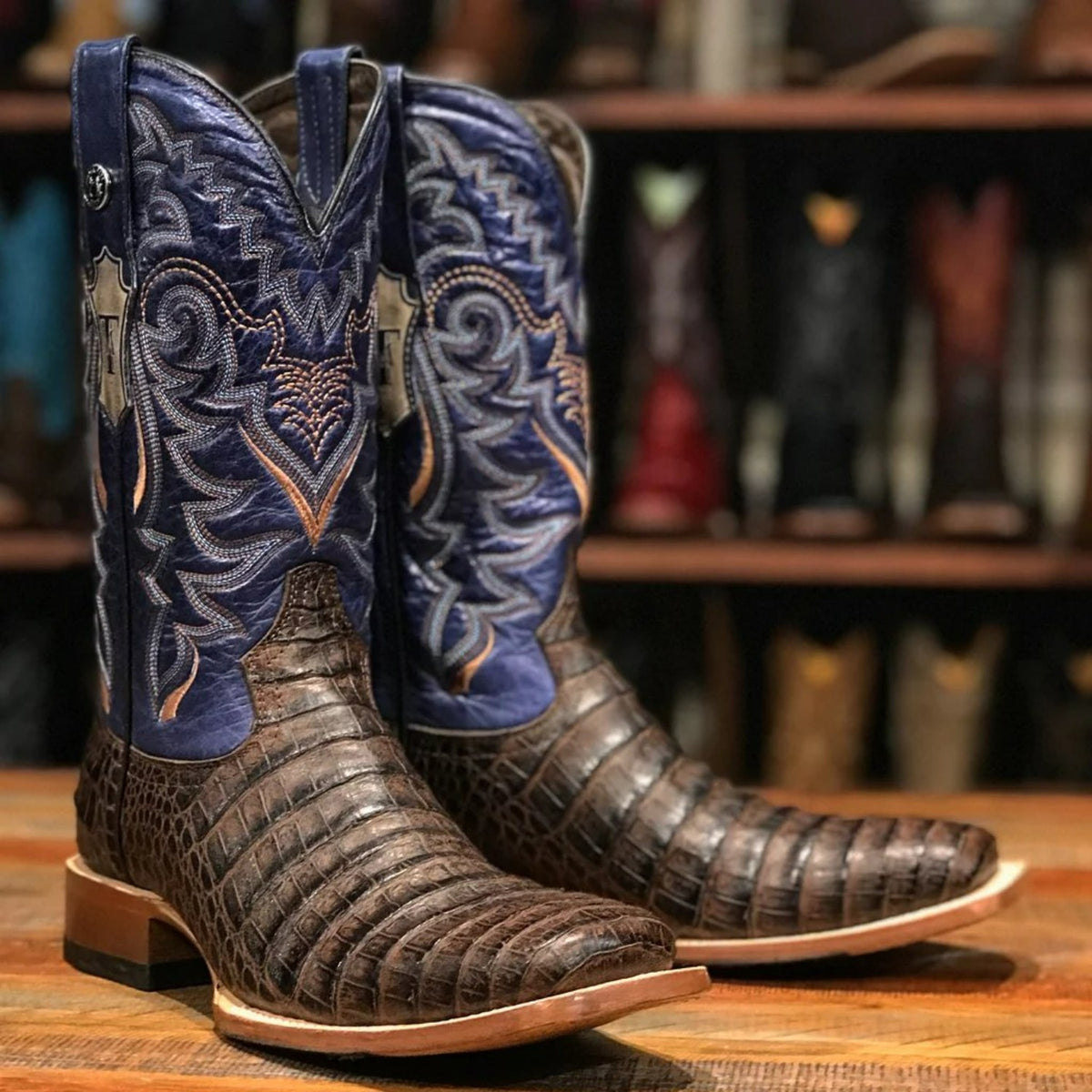 Tanner Mark Women's Caiman Belly Print Square Toe Tall Boots - Black & Gold main image 0