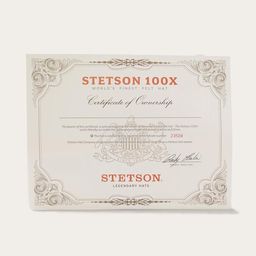 Texana El Presidente Stetson 100x con Herrajes de Oro 10K - Stetson