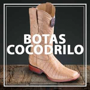 Botas de top cocodrilo picudas