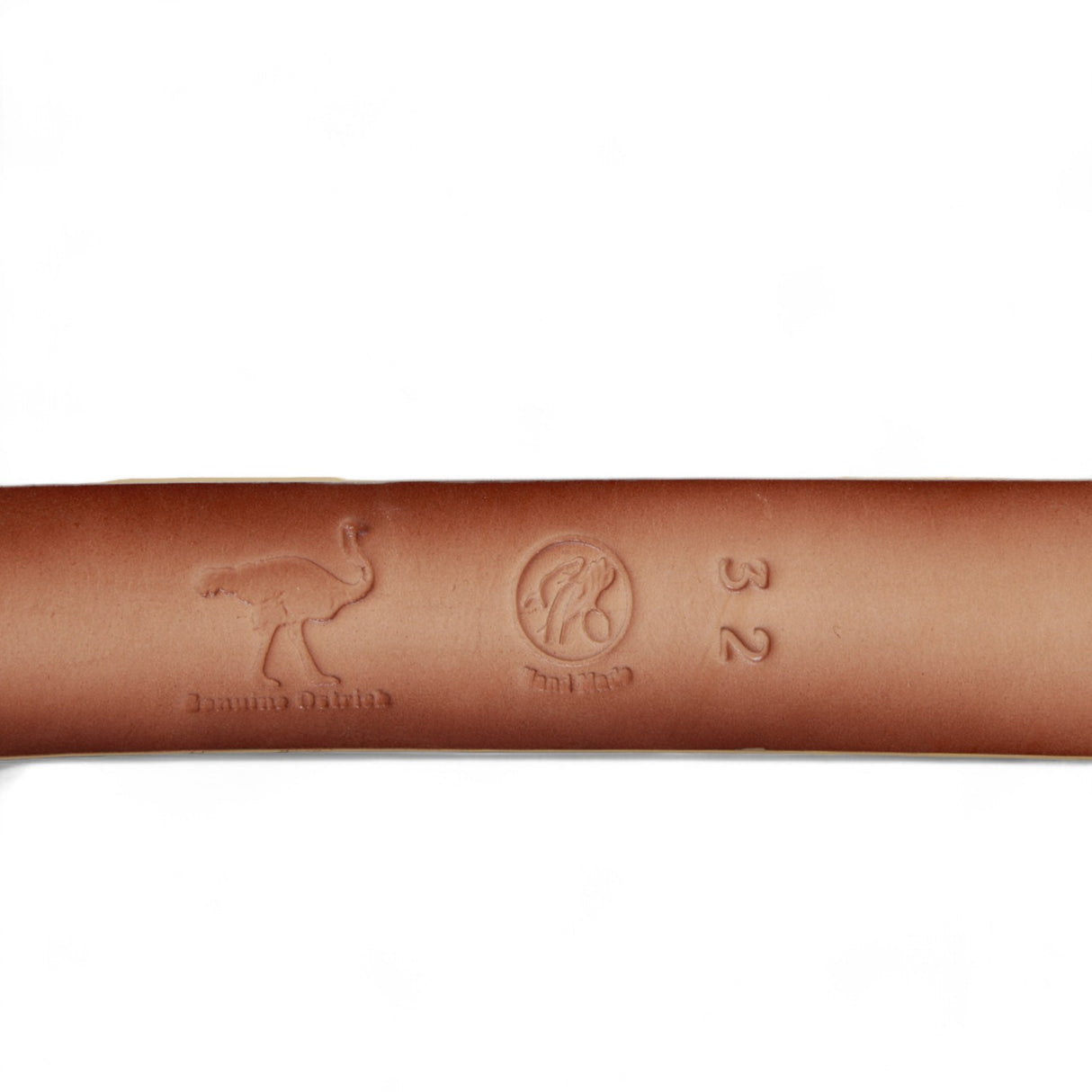 Genuine Ostrich Leather Western Belt Oryx Color - Los Altos Boots - Back View