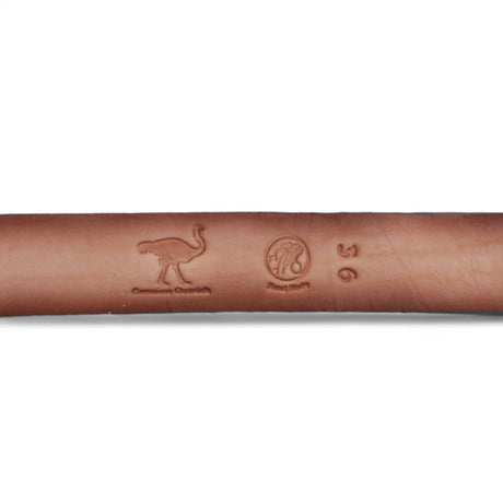 Genuine Ostrich Leather Western Belt Blue Jean Color - Los Altos Boots - Back View