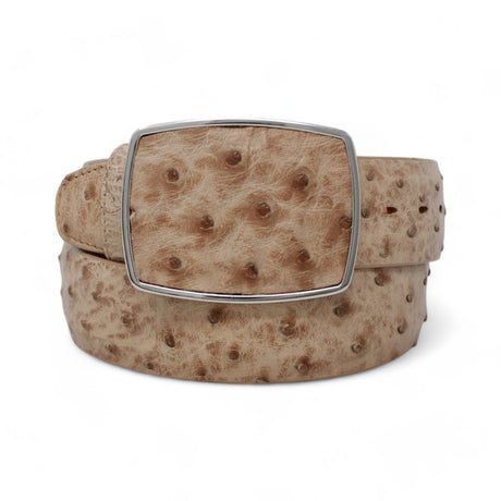 Genuine Ostrich Leather Western Belt Moka Color - Los Altos Boots - Front View