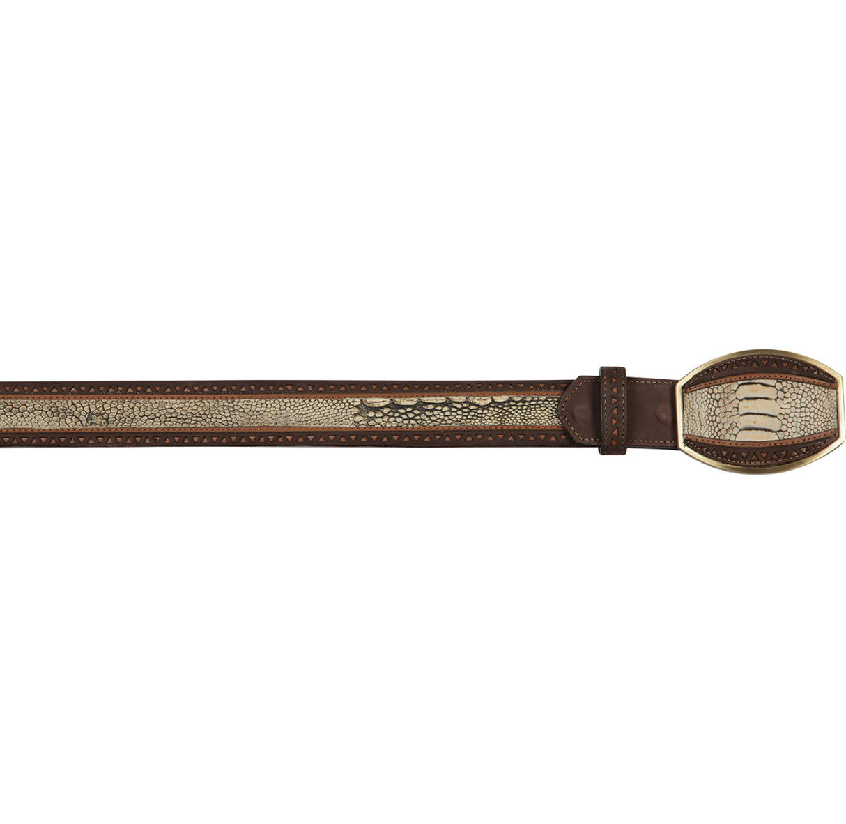 Genuine Ostrich Leg Casual Belt laser design Rustic Oryx - Los Altos Boots - Front View