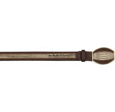 Genuine Ostrich Leg Casual Belt laser design Rustic Oryx - Los Altos Boots - Front View