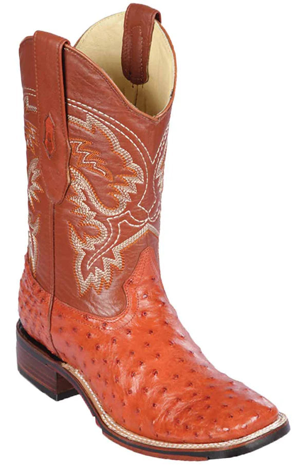 Botas vaqueras en san luis potosi sales