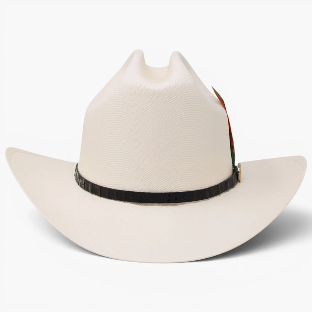 Sombrero 1000X San Judas Estilo Sinaloa con Plumas -Stone