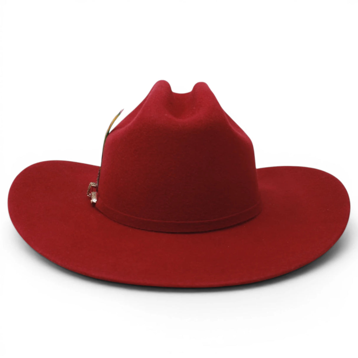 Texana Vino 20X Estilo Sinaloa (Chaparral) con Pluma – Tombstone Hats