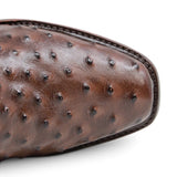 Quincy Men's Ostrich Print Dubai Square Toe Short Boot with Zipper - Brown - Toe View