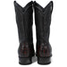 Botas de Cocodrilo Caiman Cola Horma Amplia WW - 2824L0118 - Wild West Boots