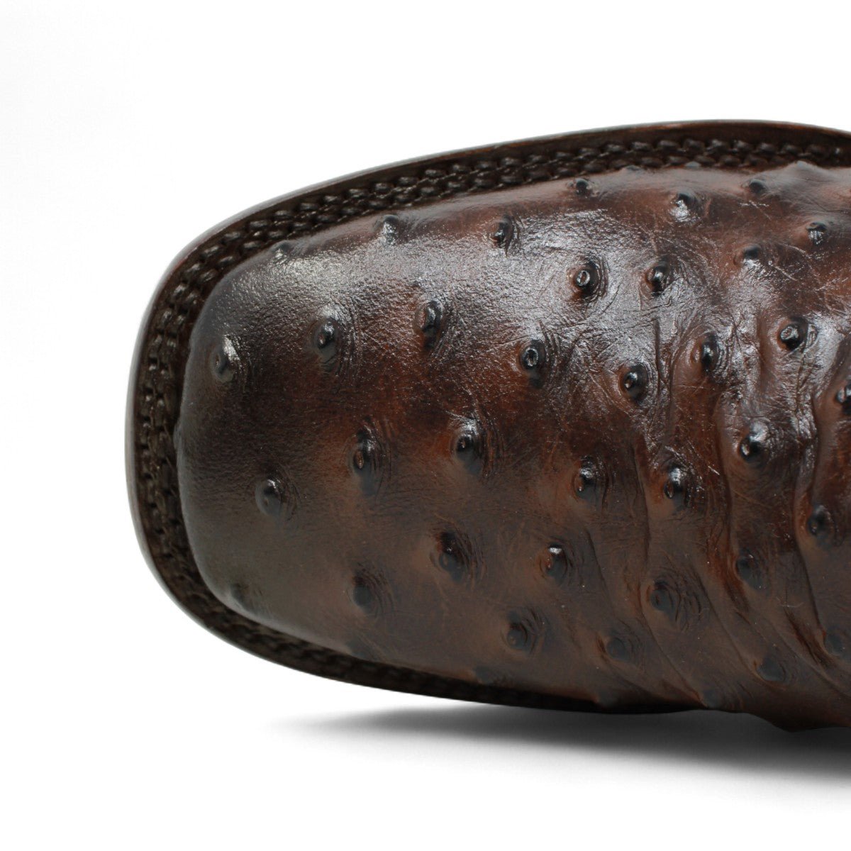 Botin de Avestruz Grabado con Punta Cuadrada Q82B0394 - Quincy Boots