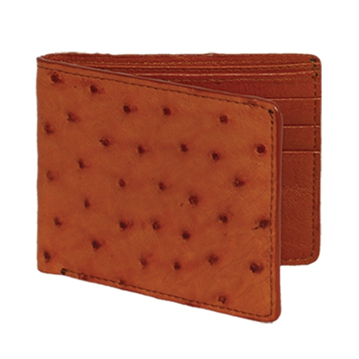 Cartera Avestruz Original Cafe CA10307 main image 1