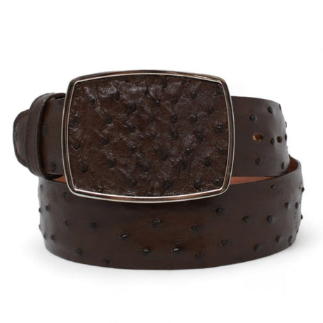 Genuine Ostrich Leather Western Belt Brown Color - Los Altos Boots - Front View